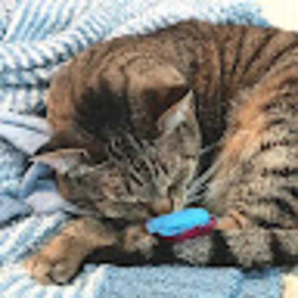 Meet your Posher, Kaitlyn - Picture 1 of 1